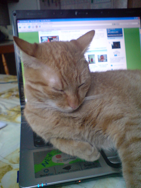 CyCu :)