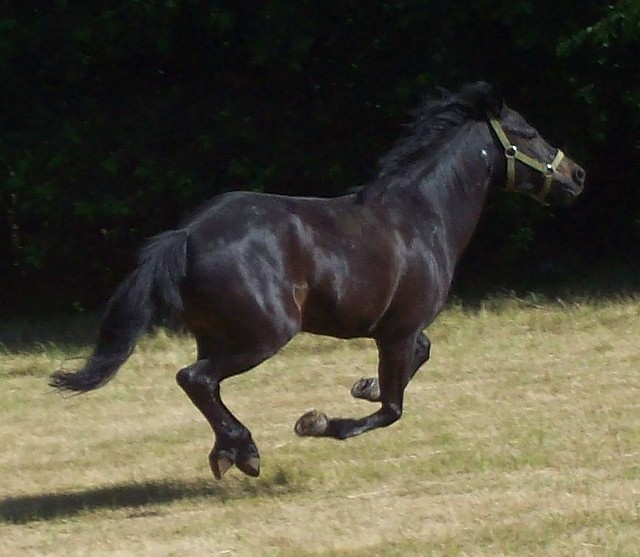 Mj misiaczek.