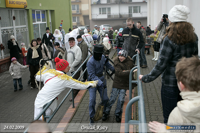 KOZA 2009!