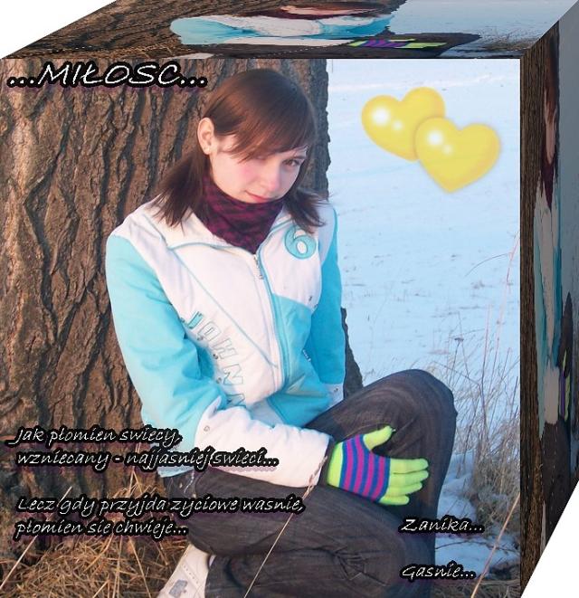 Wpis vxlandrynaxv
