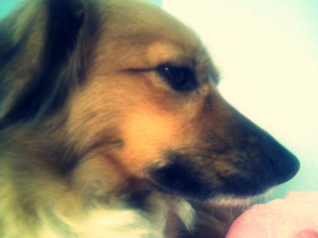Wpis p0kerface