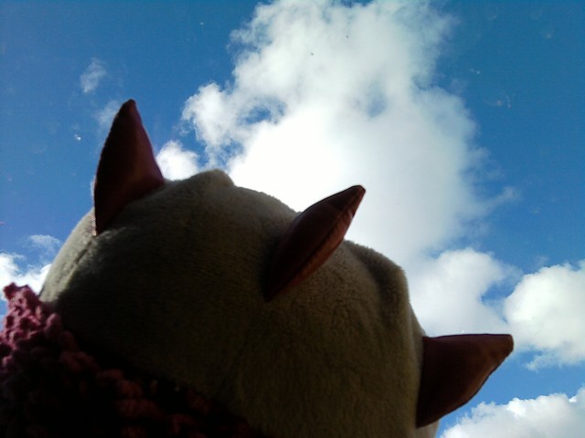 Wpis streamer