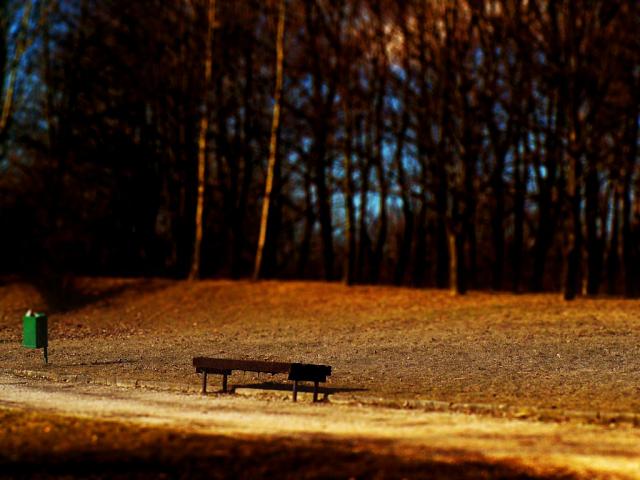 Shadow