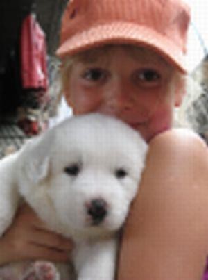 Julia w grach.