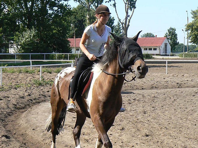 Wakacje 2008