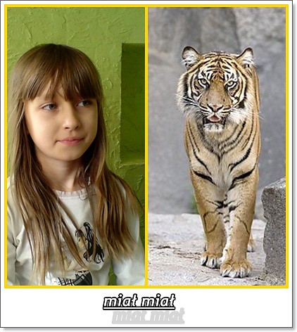 Wpis girl00tiger