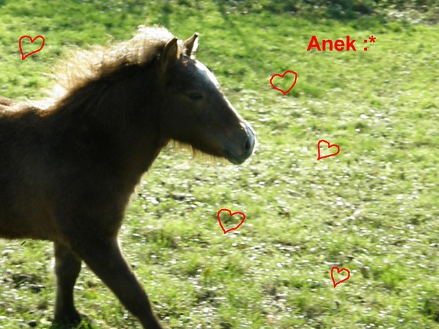 Anu :)