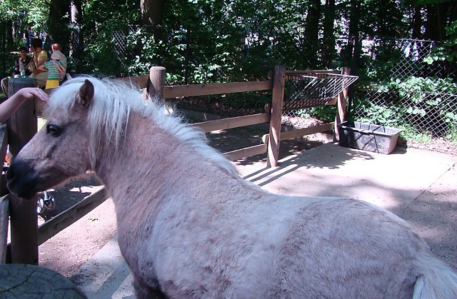 Krakowskie ZOO