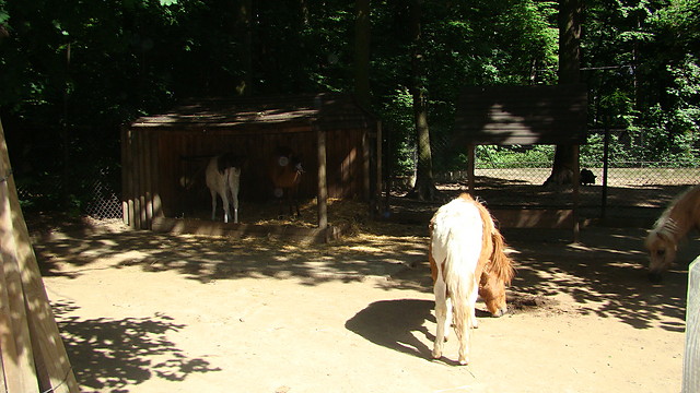 ZOO