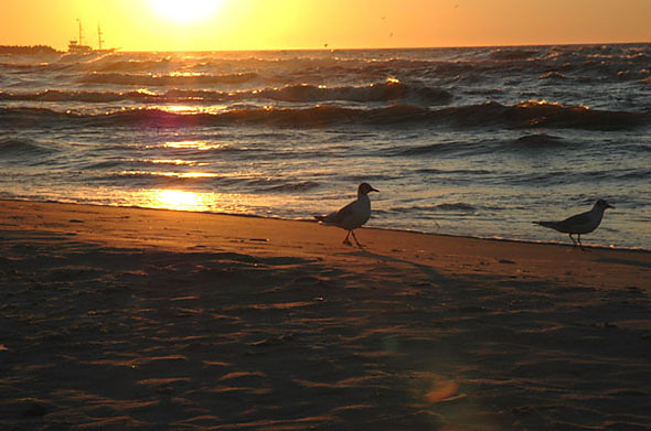 KOOBRZEG 08