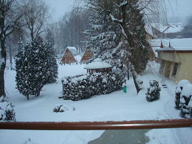 Wpis cichyzbinia