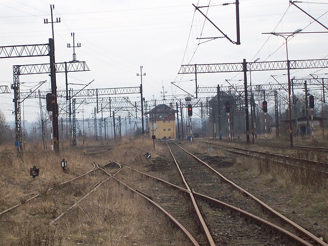 Wpis kujon50