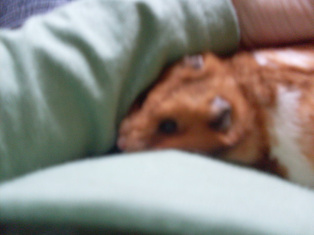 Pusia :*