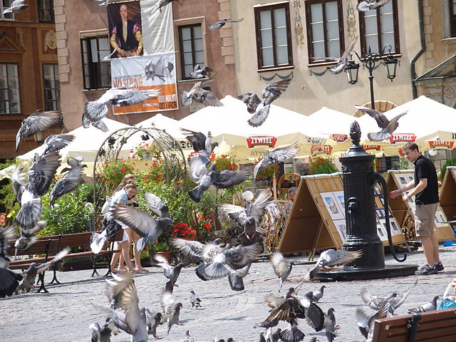 stare miasto - Warszawa