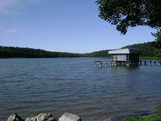jezioro koo Mierek