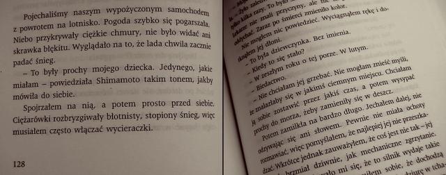 na poudnie od granicy...