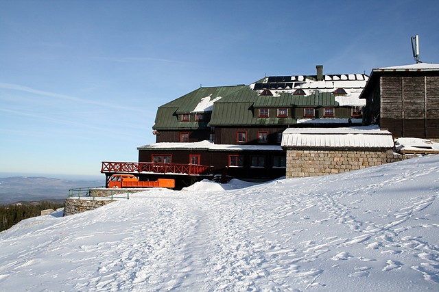 Wpis palko