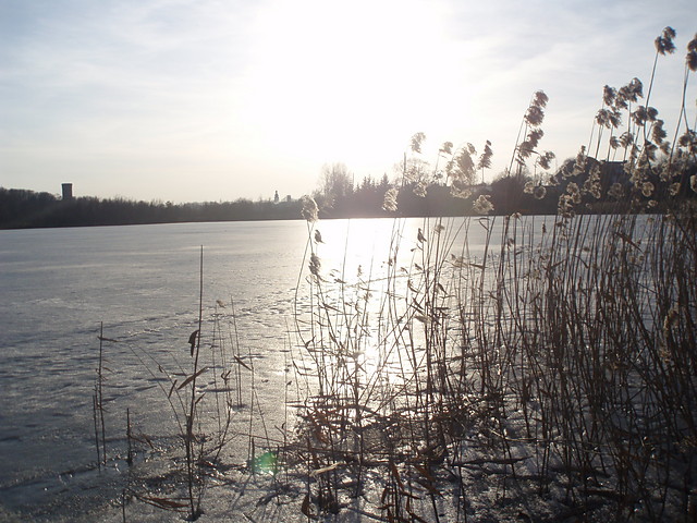 Wpis lolakarola