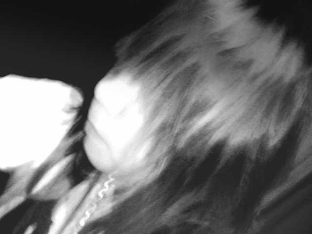 Hsta la vista ! x33