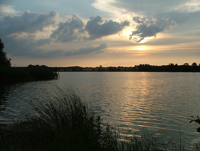Wolice