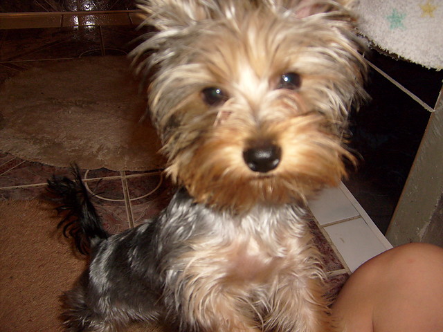 cudenko:*:*