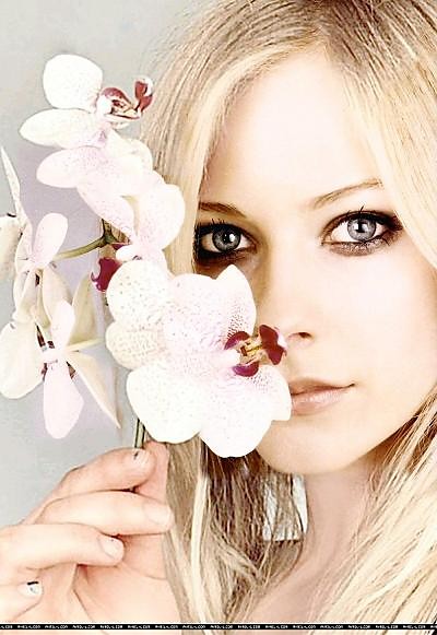AVRIL LAVIGNE