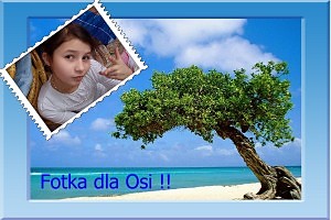 Wpis miskagz