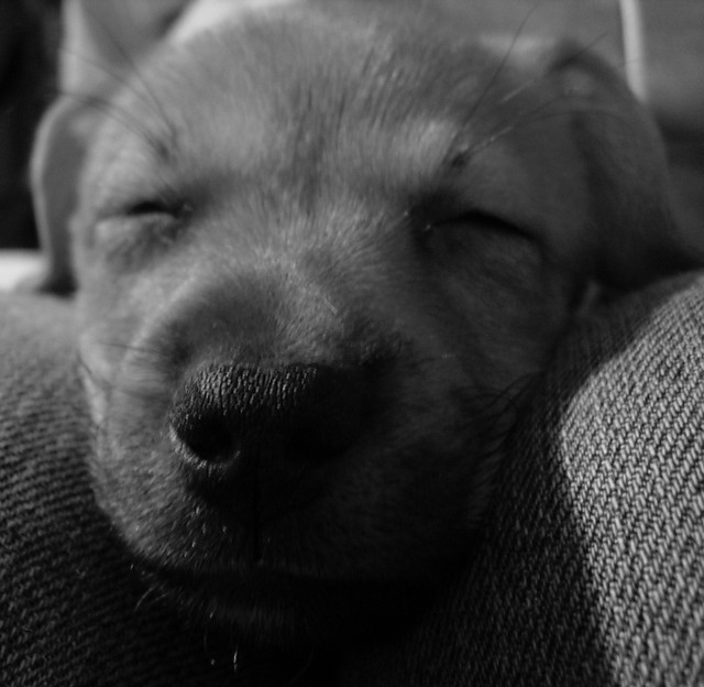 Zuzia:)