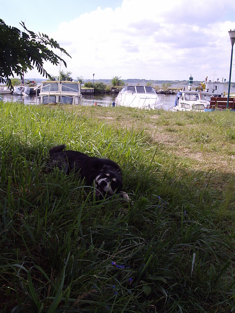 Misia
