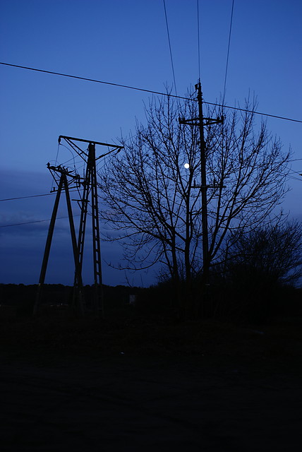 Wpis kryminalistyczna