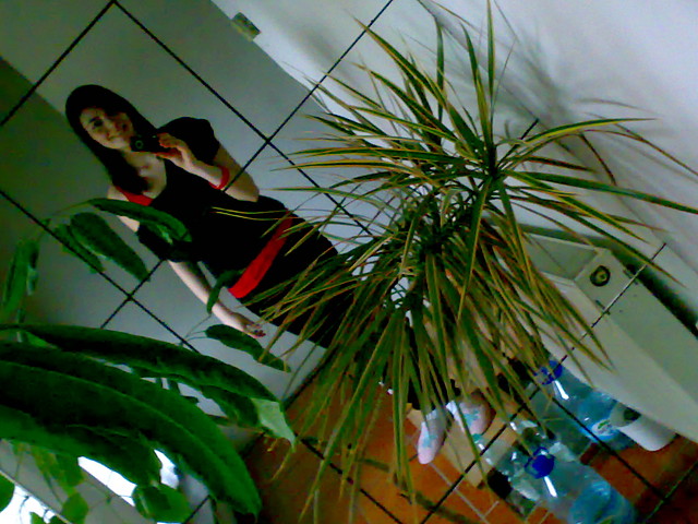 Wpis tereniaa