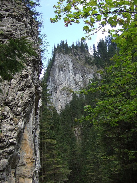 Dolina Kocieliska