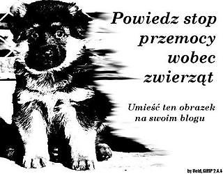 Wpis napomoczwierzakom