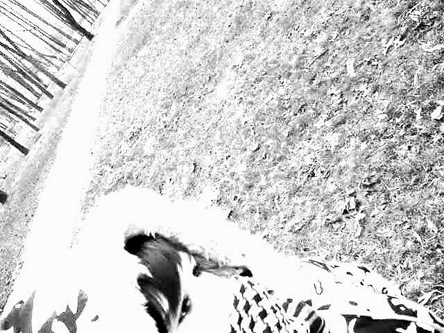 Wpis xlovestory94x