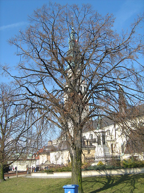 Czstochowa....2009