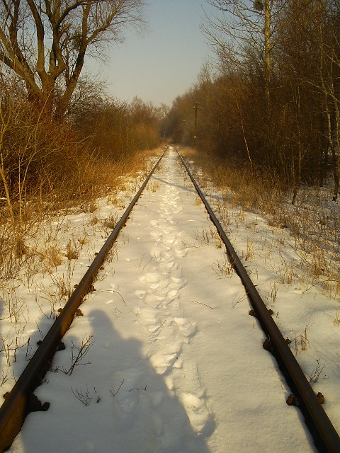 Wpis malenstwo0811