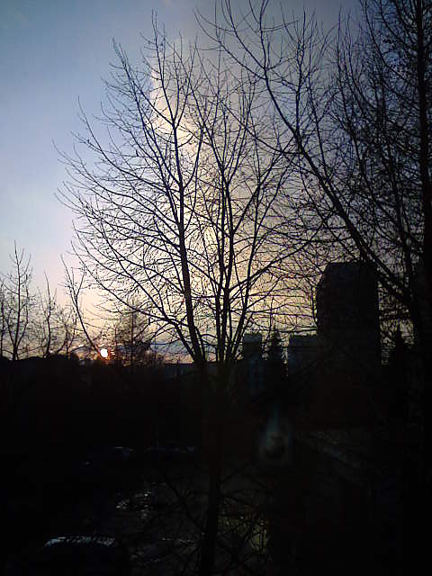 Jutro 