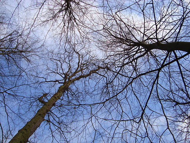Sky....