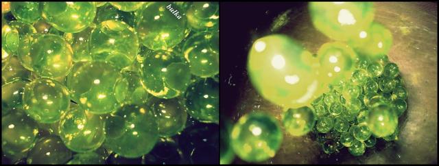 pompelki =D !