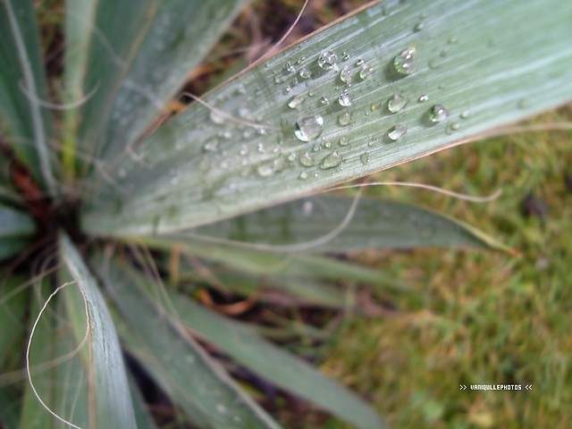 Czterdzieci-dwa.