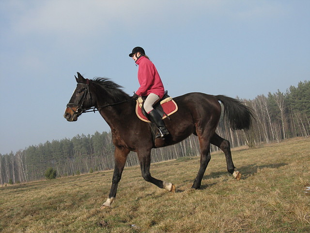 Wpis ztobanawieki