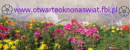 www.otwarteoknonaswiat.fbl.pl