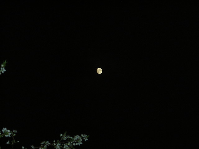 Moon.