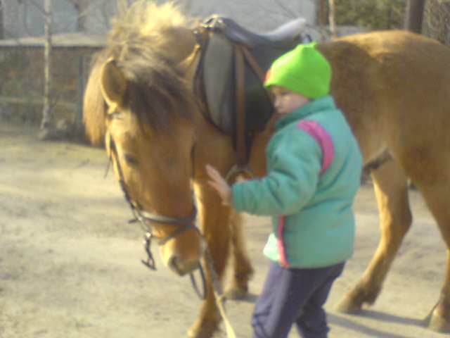 Wpis adventuresinsaddle