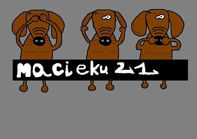 jamniki po przejciach..