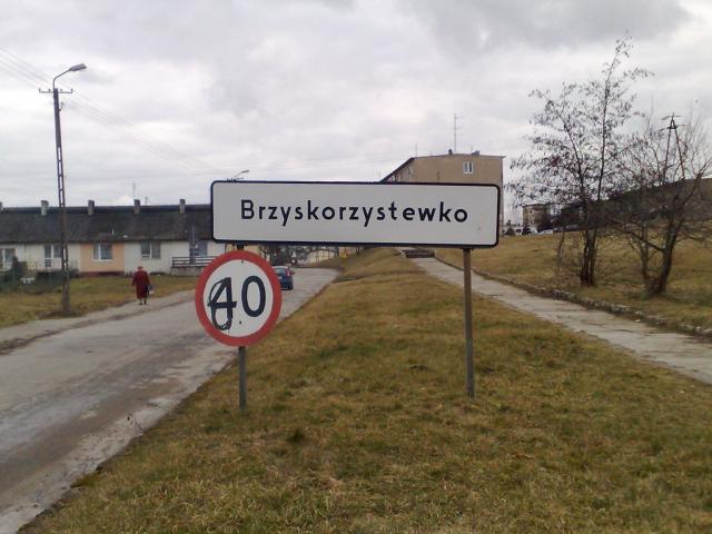 Wpis koncertfalszu