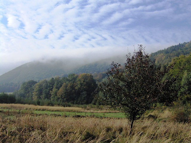 wiosenny poranek.....