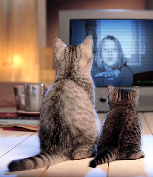 Jestem w telewizorku :)