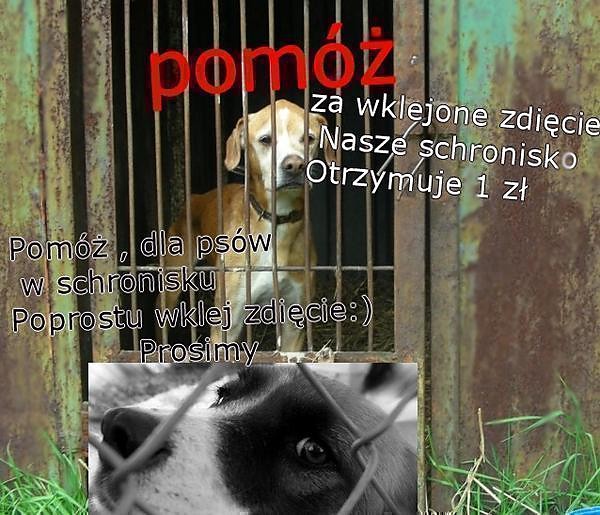 POMӯ