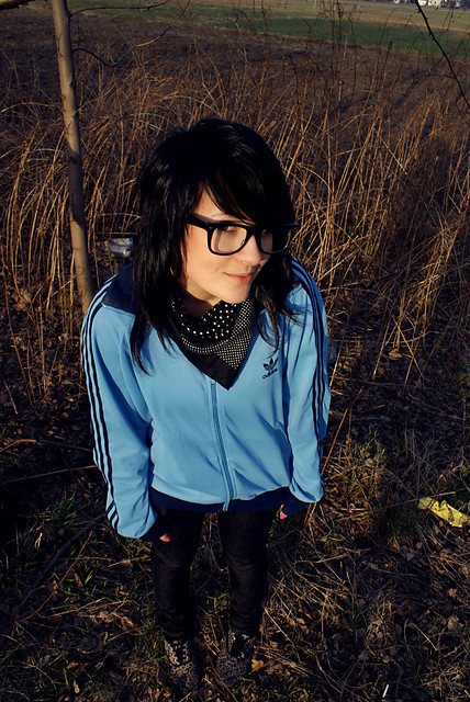 Wpis stcoccinelle